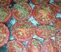tomates_provencale_1